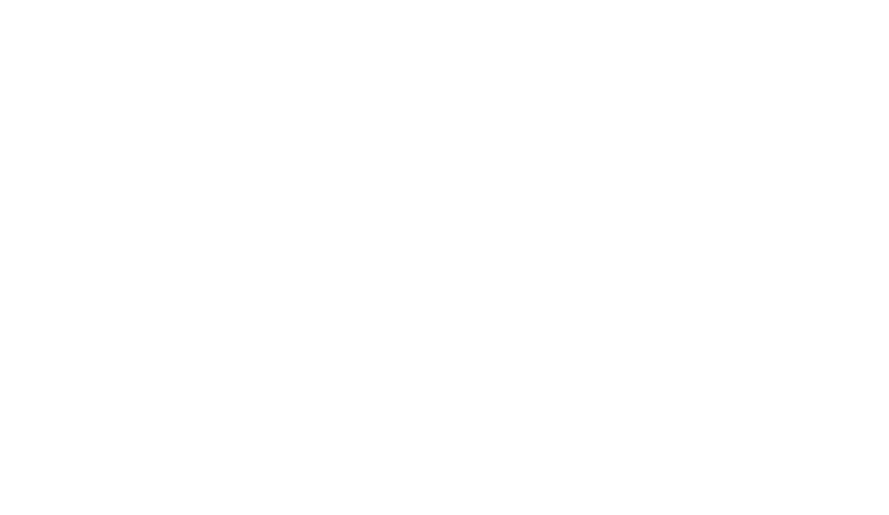 Polilla Studio